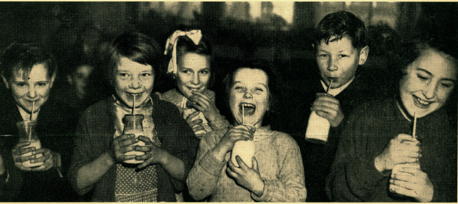 a photo of children enjoying milk at primary school in 1948