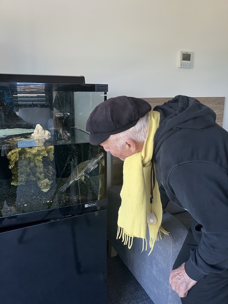 Paddy nose-pressed greeting Murtle the pet turtle.