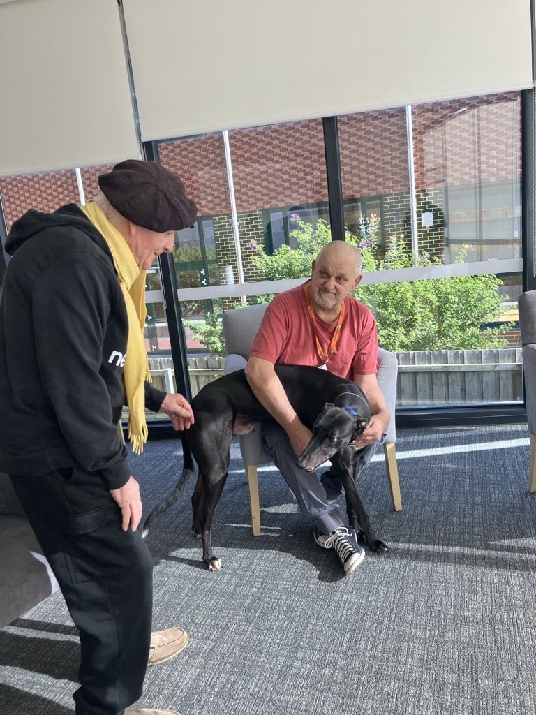 Clifton Hill Aged Care residents Paddy and Zac have a short exchange with Duke, Zac’s prized greyhound.