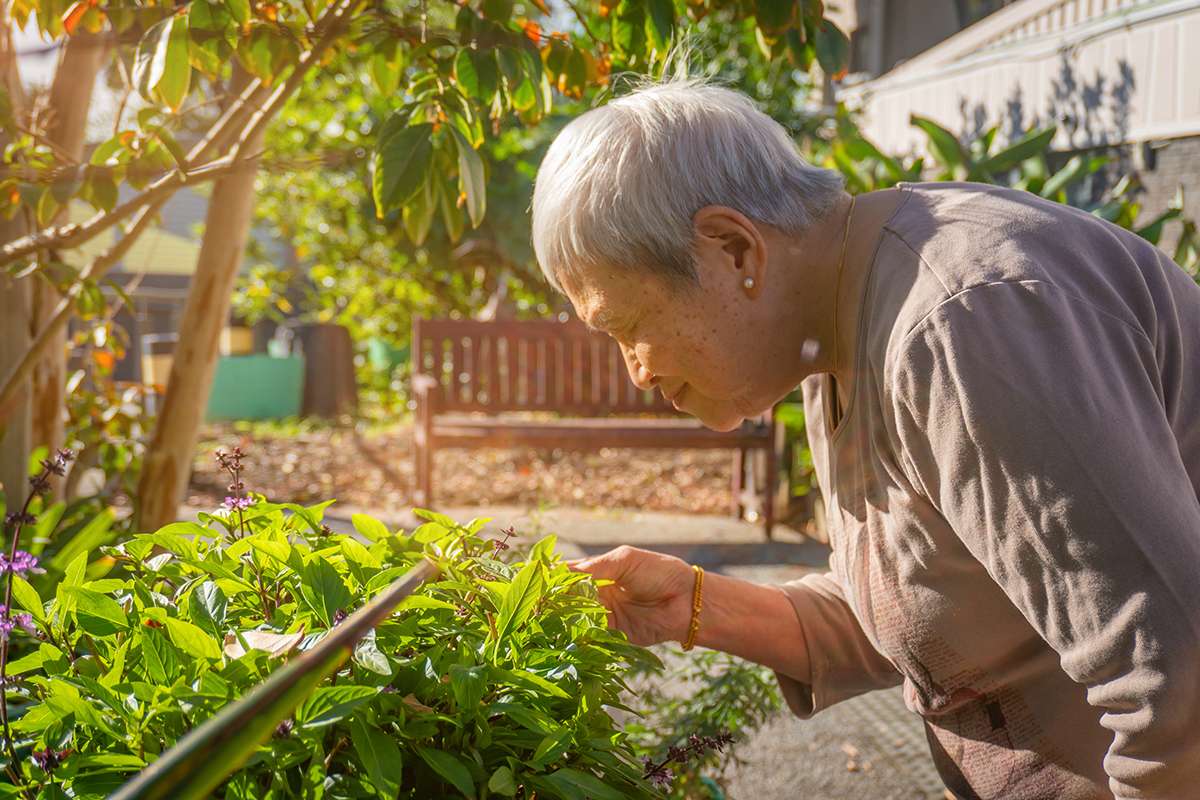 Le Quyen smelling the lovely fresh mint she is about to use for making dumplings.