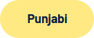 Punjabi Download Button