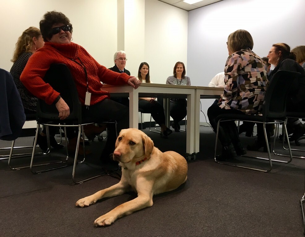 Blog 1 NDIS blog pic