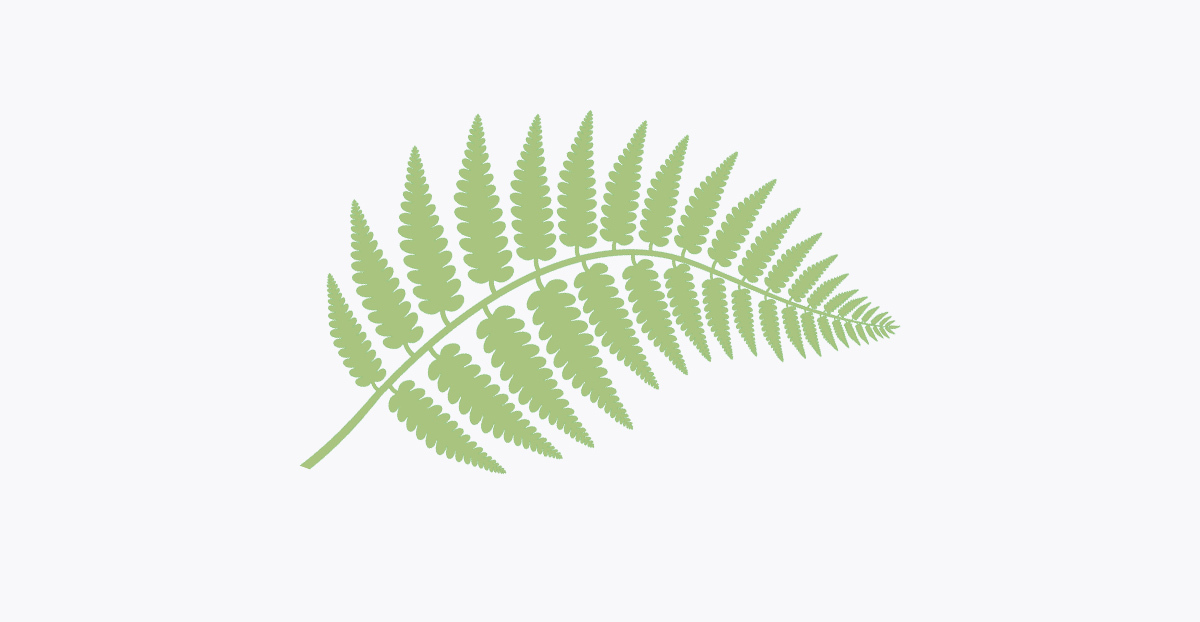 Fern logo 2