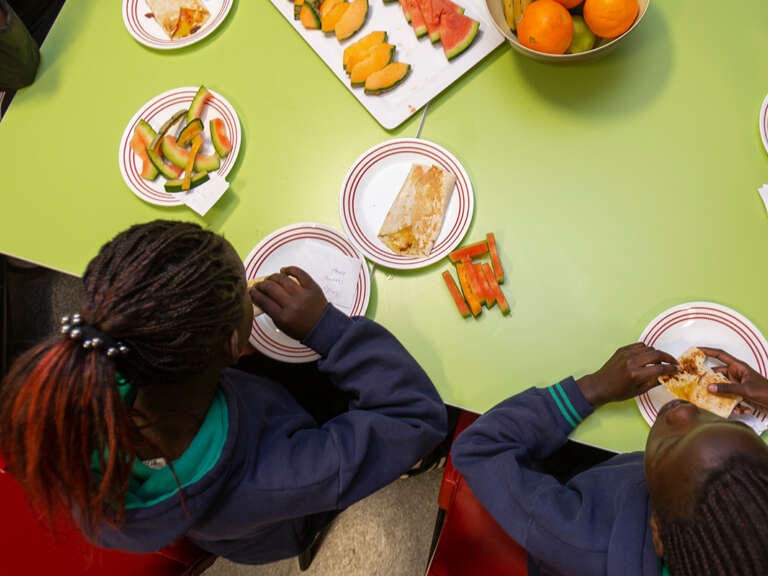 Brotherhood of st laurence community support program picture