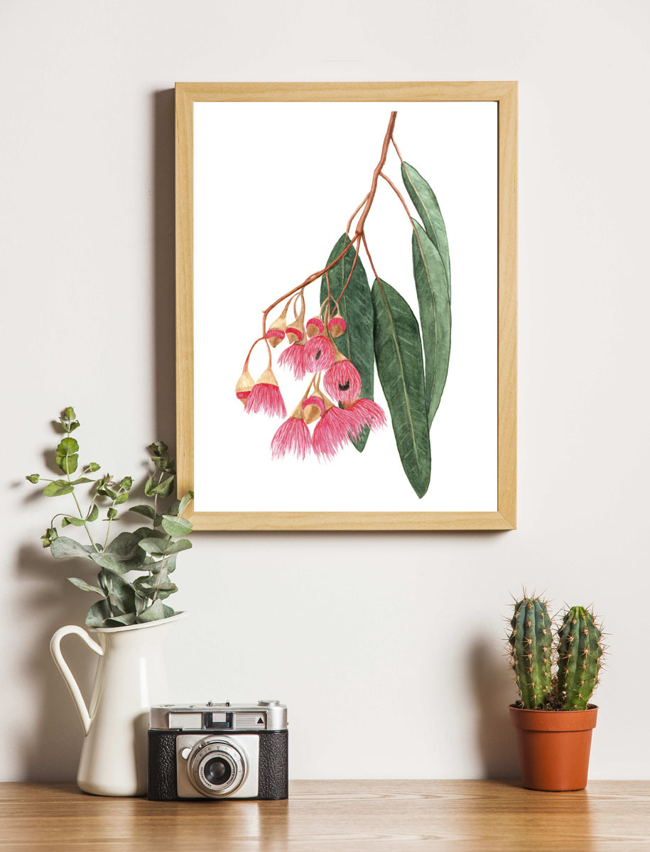 Framed eucalyptus illustration